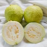 帝王芭樂：圖片 2