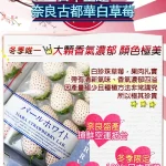 奈良珍珠白草莓